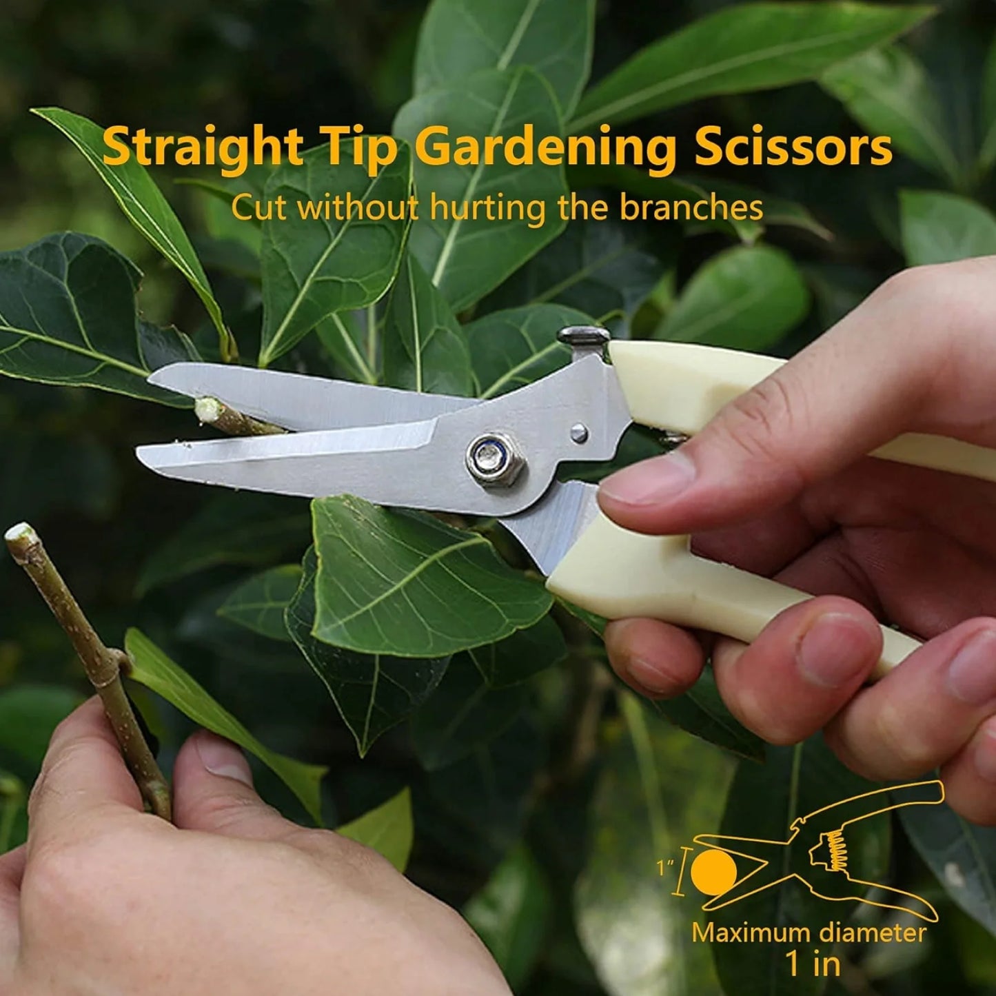 Stainless Steel Pruning Shears with Sharp Blades & Ergonomic Non-Slip Handle | Heavy-Duty Hand Pruner for Home Garden Plants & Branch Cutting (1 Pc)