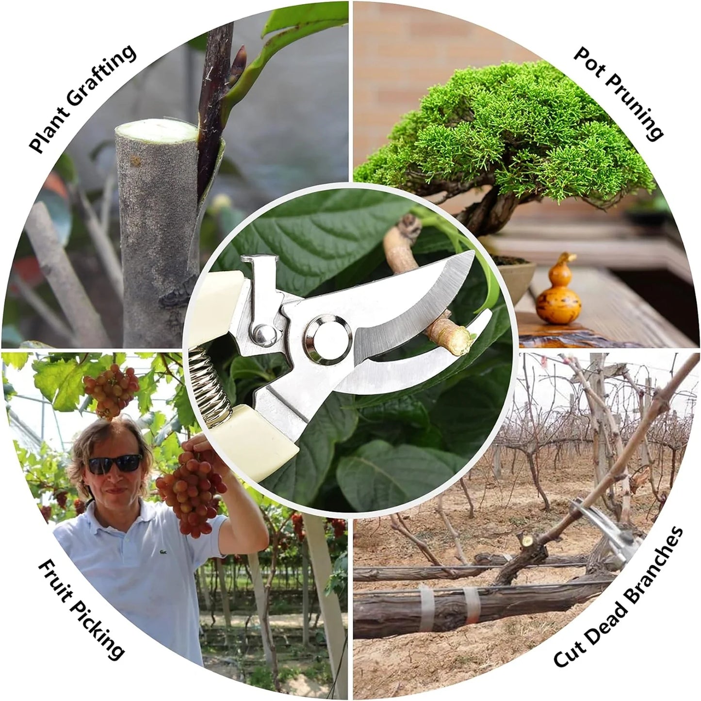 Stainless Steel Pruning Shears with Sharp Blades & Ergonomic Non-Slip Handle | Heavy-Duty Hand Pruner for Home Garden Plants & Branch Cutting (1 Pc)