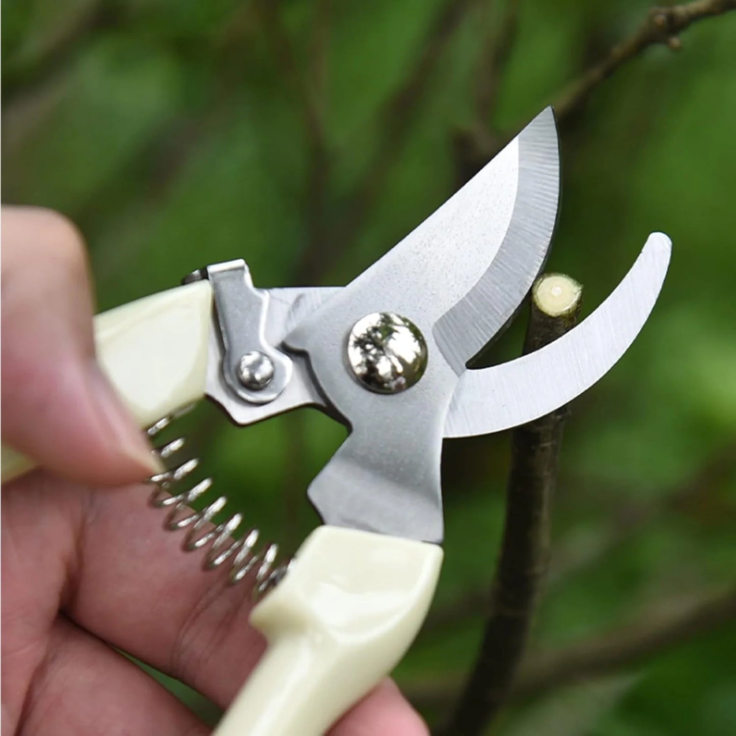 Stainless Steel Pruning Shears with Sharp Blades & Ergonomic Non-Slip Handle | Heavy-Duty Hand Pruner for Home Garden Plants & Branch Cutting (1 Pc)