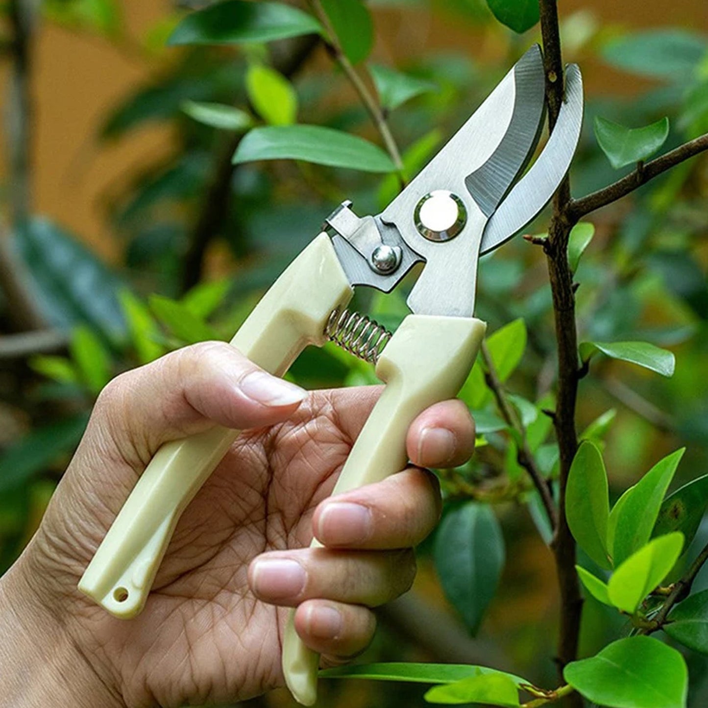 Stainless Steel Pruning Shears with Sharp Blades & Ergonomic Non-Slip Handle | Heavy-Duty Hand Pruner for Home Garden Plants & Branch Cutting (1 Pc)